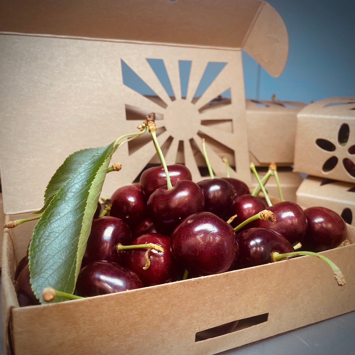 Fresh Lodi Cherries