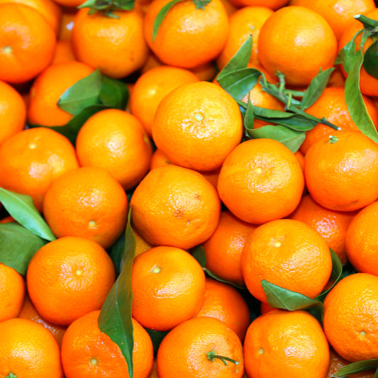 Citrus