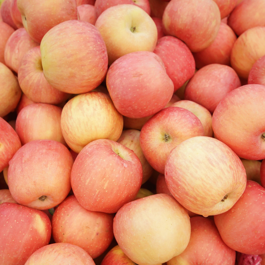 Fresh Picked Apples