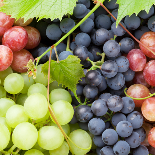 Lodi Table Grapes