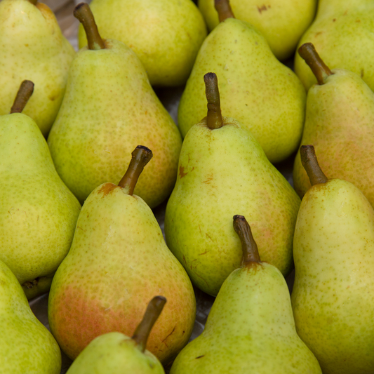 Local Pears