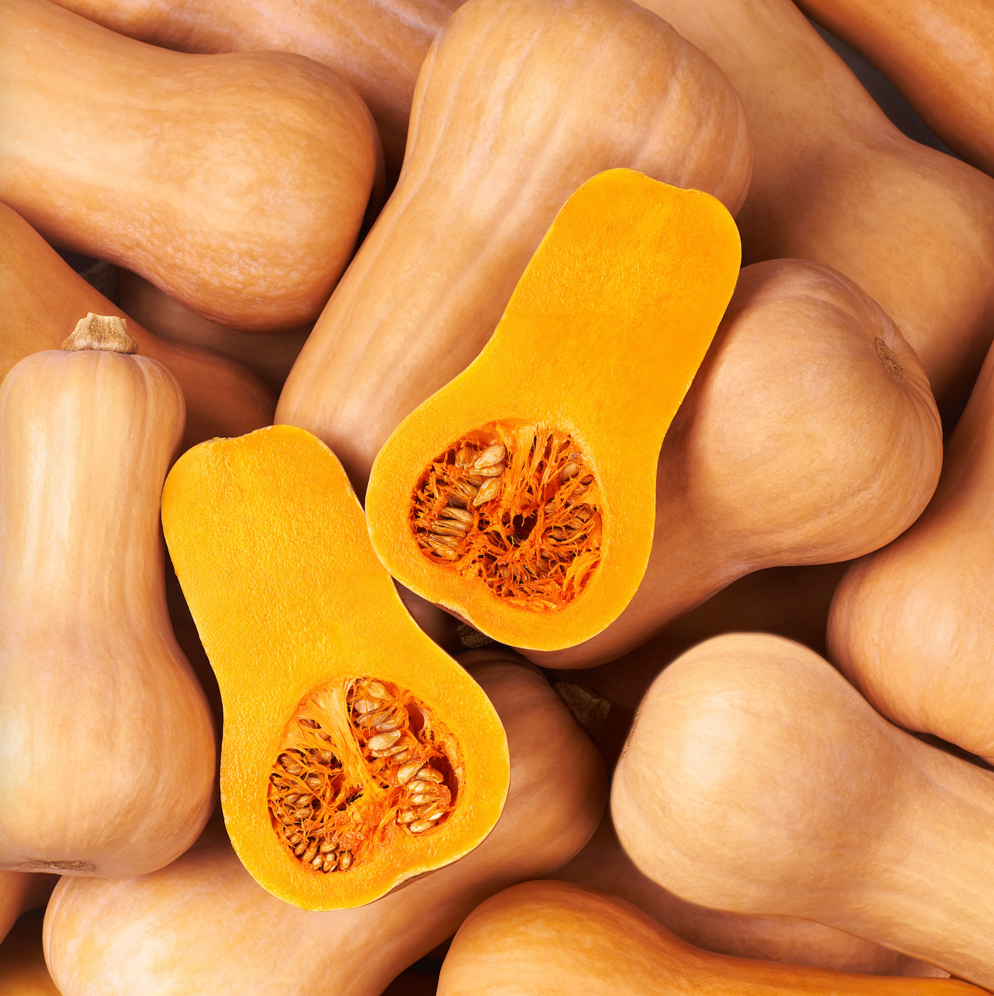 Lodi Butternut Squash