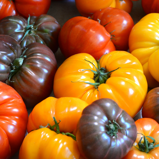 Vine-Ripe Tomatoes